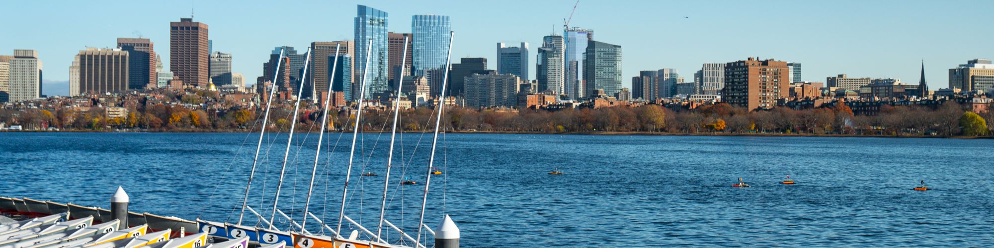 A dock with sailboats is on a body of water, with a city skyline in the background under a clear blue sky.