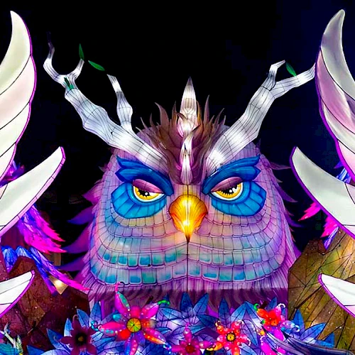 A vibrant fantasy owl with bright colors, large wings, and intricate patterns surrounded by flowers and foliage, glowing against a dark background.