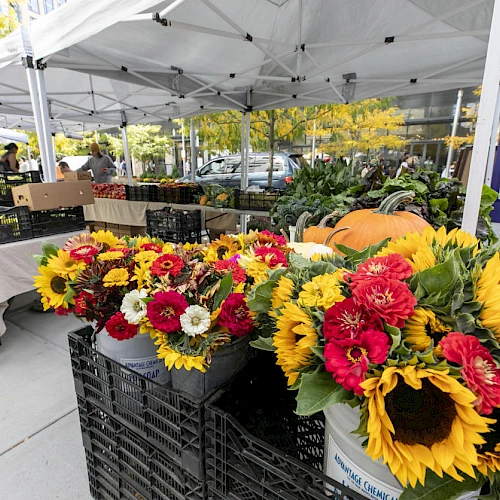 A vibrant market stall with sunflowers, colorful flowers, and produce arranged in crates under white tents on a sunny day.
