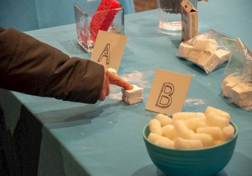 Someone places A and B cards on a table with bowls of white cubes, likely a tasting or voting setup.